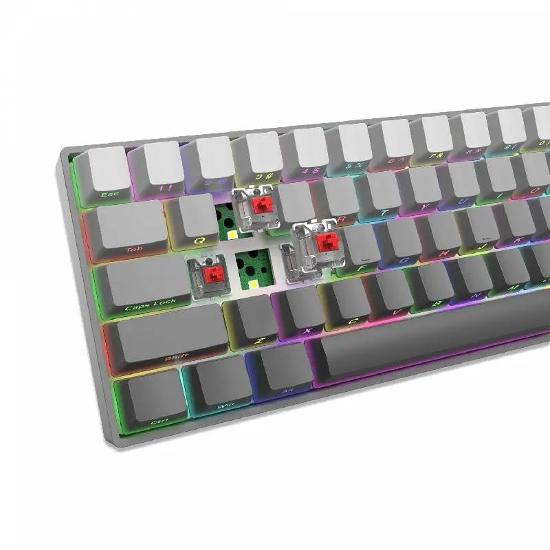 Clavier Gamer WHITE SHARK RGB NUNCHAKU – GK-007711 Hizem World
