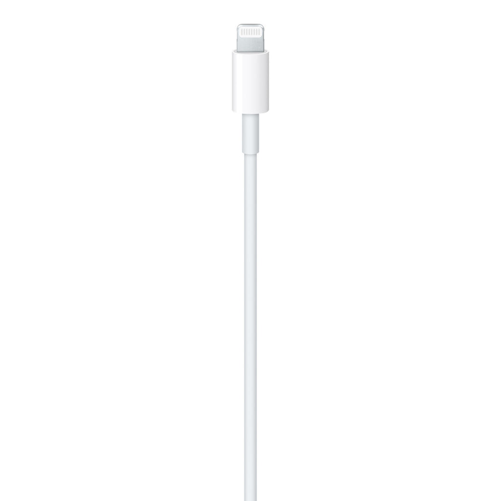 Câble USB-C vers Lightning 1 m — Apple Original