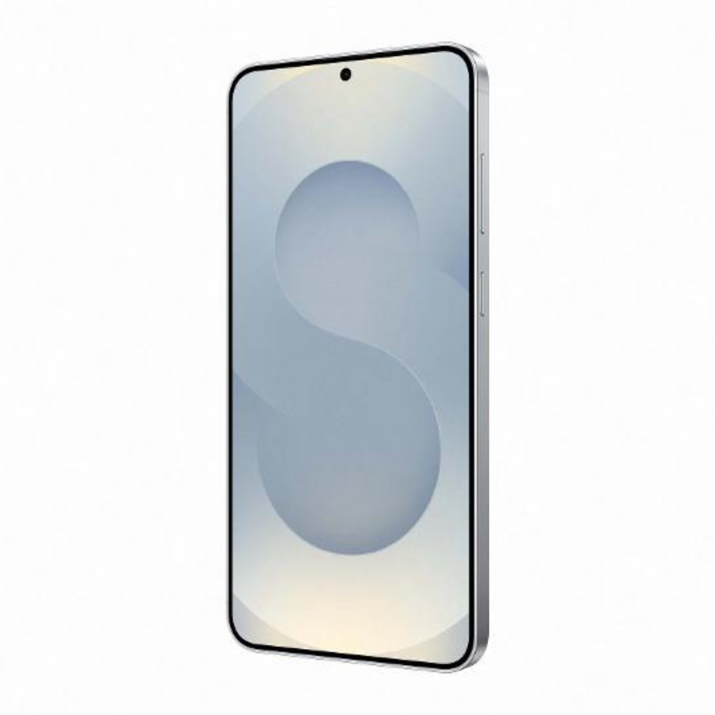 Samsung Galaxy S25 5G Argent