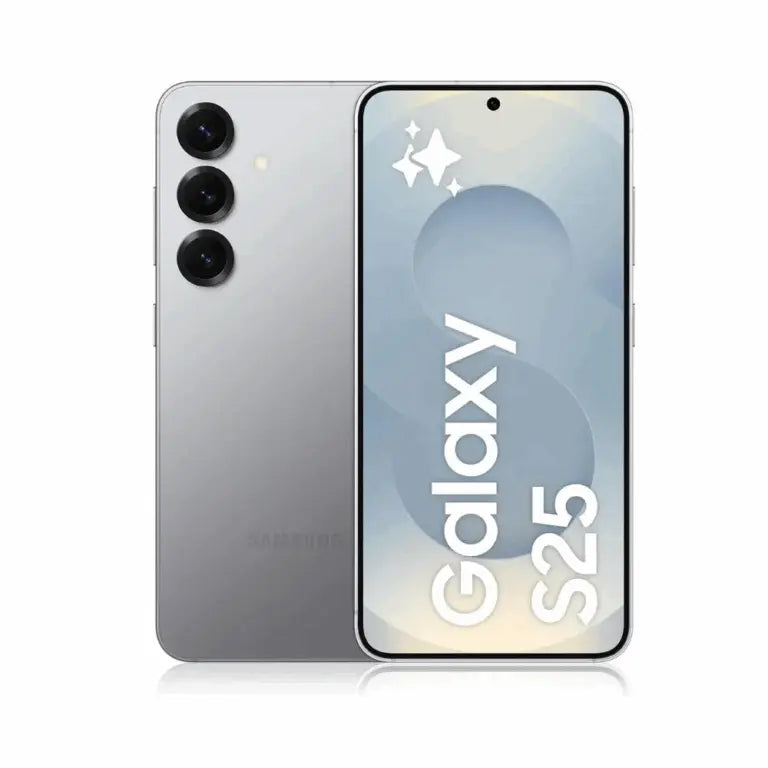 Samsung Galaxy S25 5G, coloris Argent Hizem World